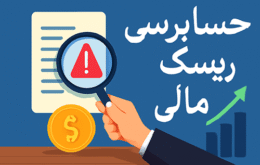 حسابرسی ریسک مالی