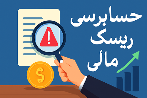 حسابرسی ریسک مالی