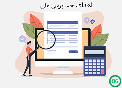 اهداف حسابرسی مالی 325