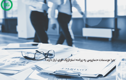 موسسات حسابرسی به برنامه استراتژیک قوی 5646